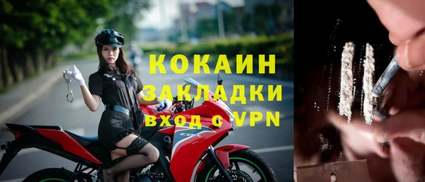ПСИЛОЦИБИНОВЫЕ ГРИБЫ Балабаново