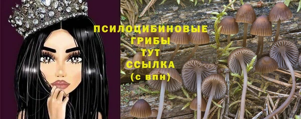 стафф Карталы