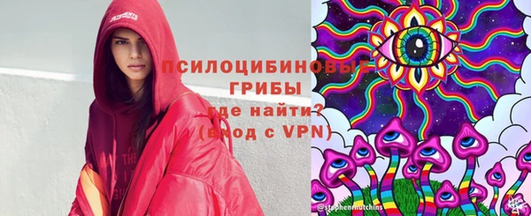 ПСИЛОЦИБИНОВЫЕ ГРИБЫ Балабаново